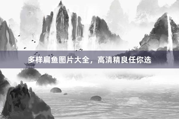 多样扁鱼图片大全，高清精良任你选